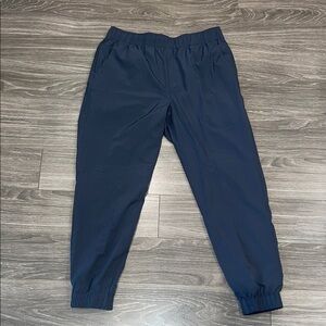 Alive Grey Blue Lined Joggers